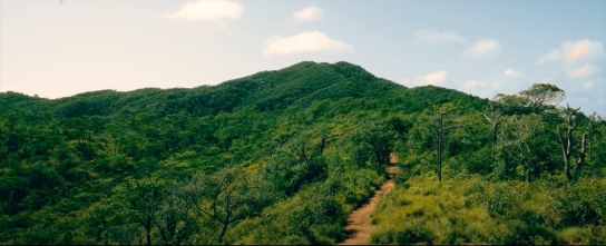 Roatan Peak Hiking Tour – Picacho Hill Adventure